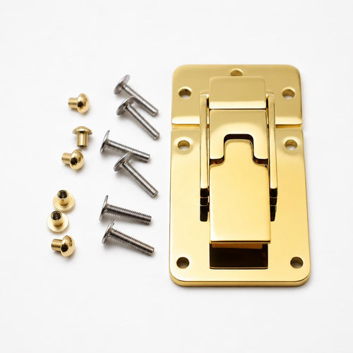 Large hasp clasp for trunks and flight cases