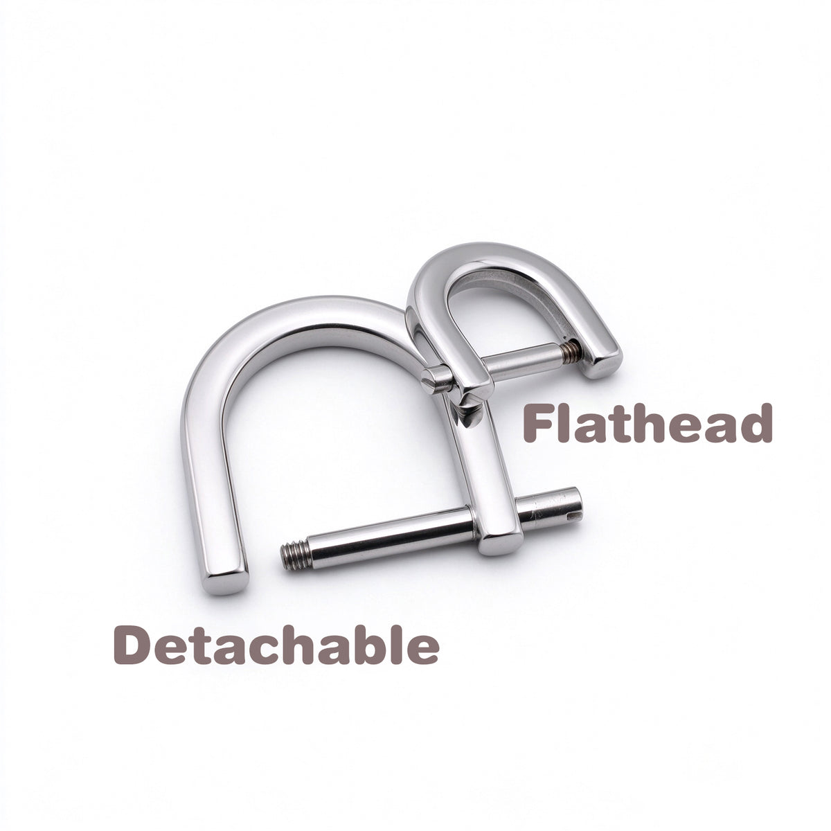 316 Stainless Steel Detachable Screw D Ring | Silver D Shackle for Bag, Purse, Leather Craft Hardware, 5 Sizes Available