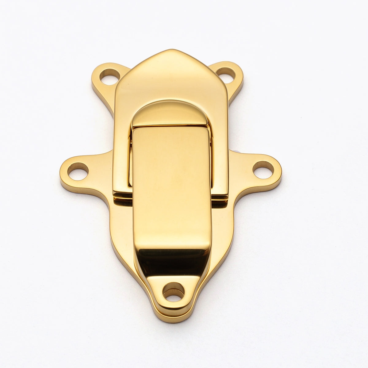 Pentagon Lock Clasp for Hard Cases, Silver & Gold