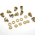 Solid Brass Rivet
